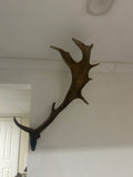Antler Mount Single