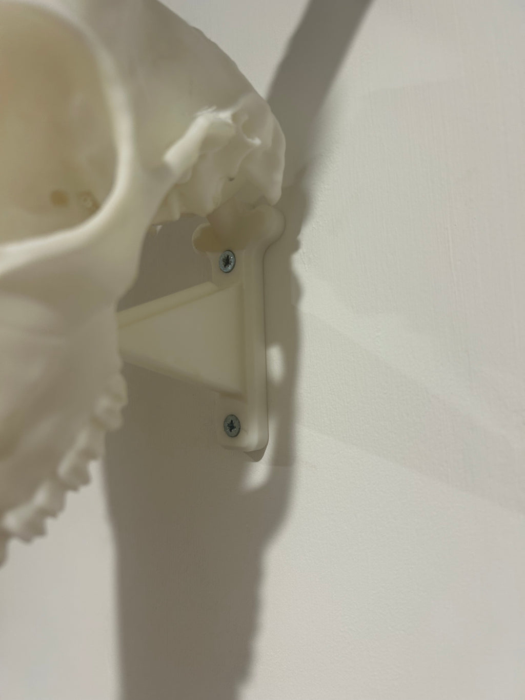 Euro Mount Hook