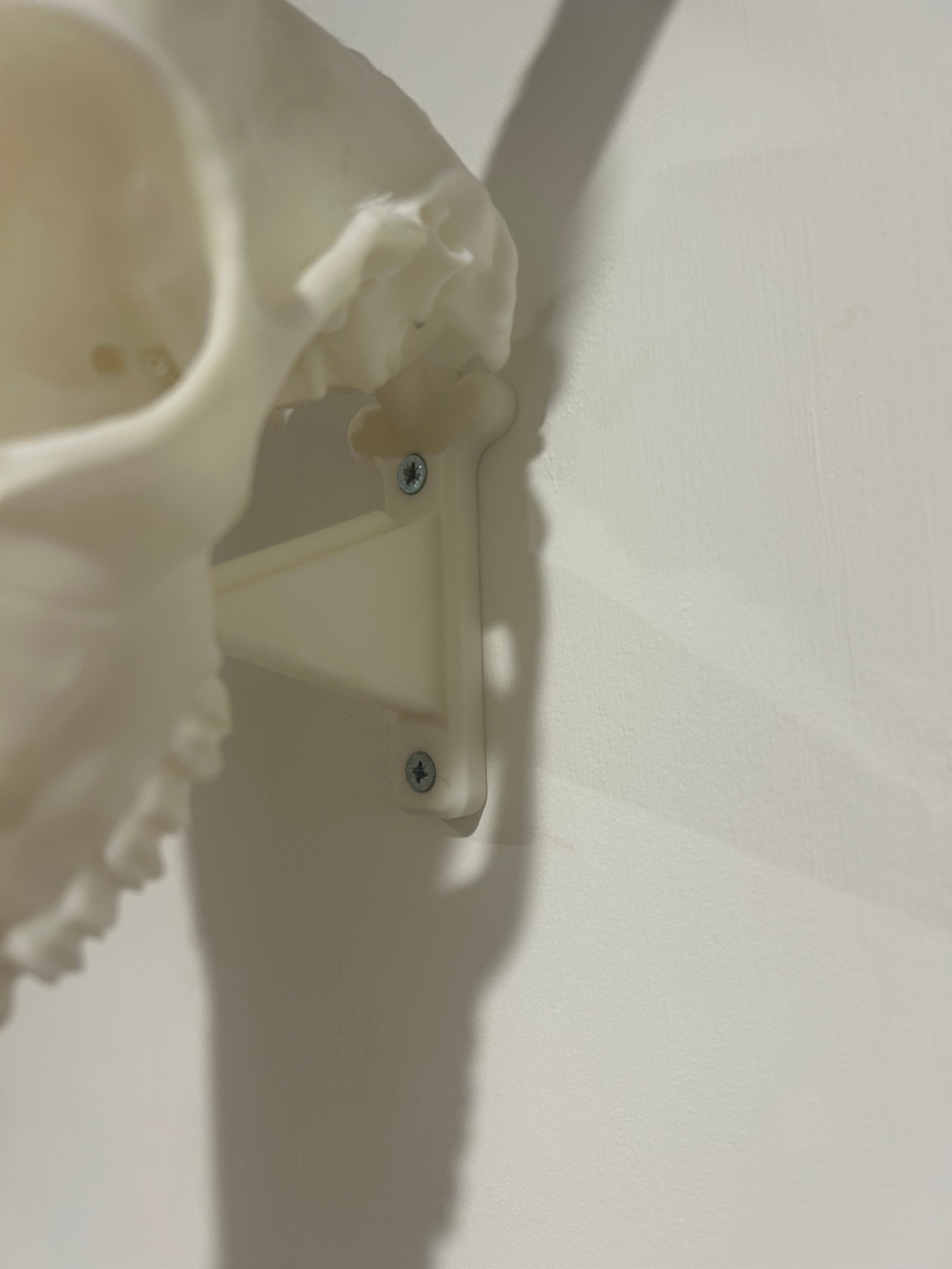 Euro Mount Hook