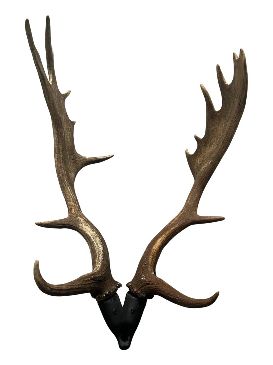 Antler Mount Double