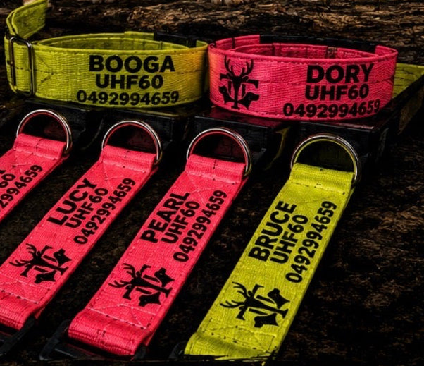 Dog Collar 50mm