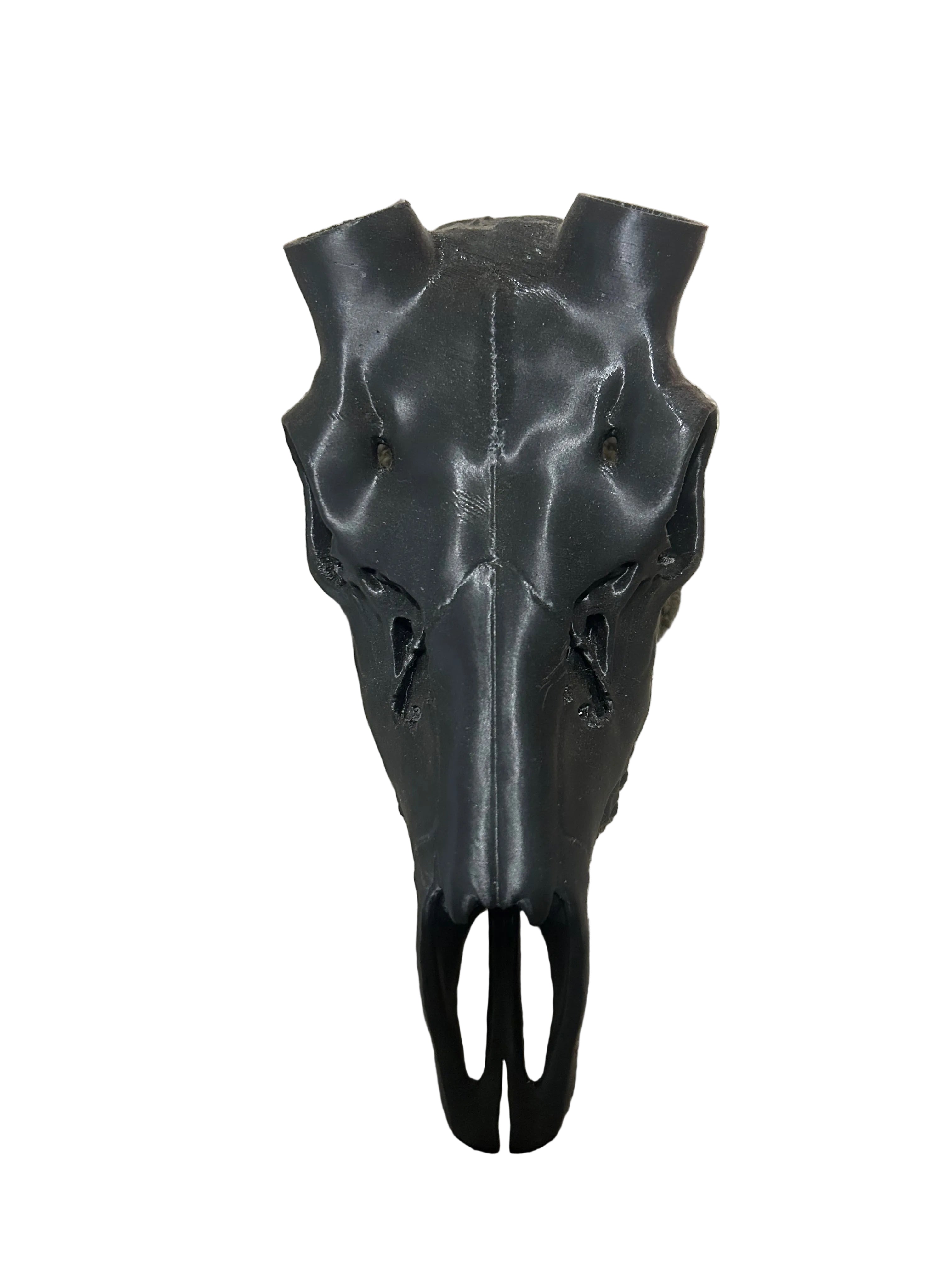 Antler Mount Full Skull