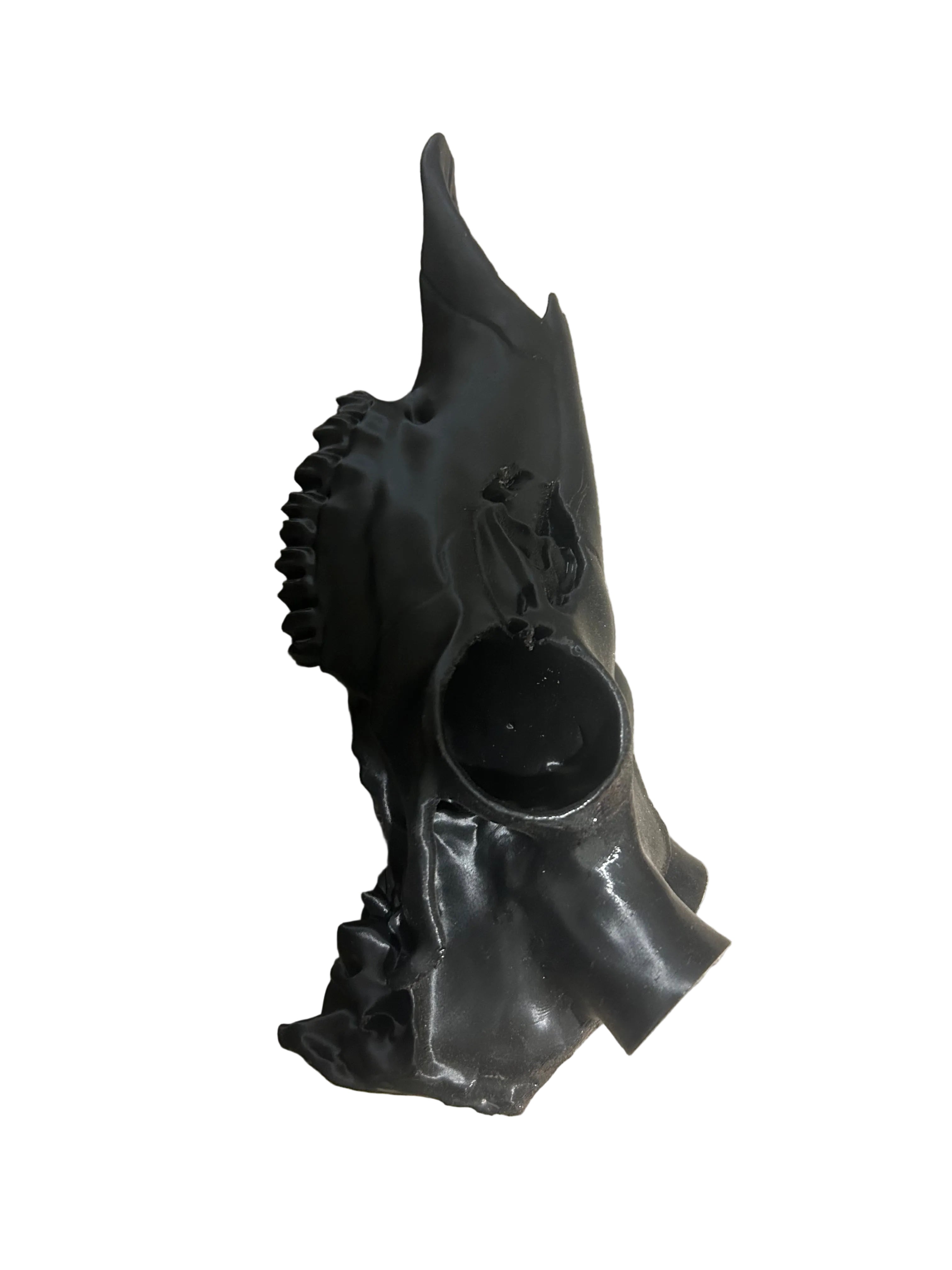 Antler Mount Full Skull
