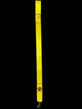 Single Clip Dog Lead With D-ring