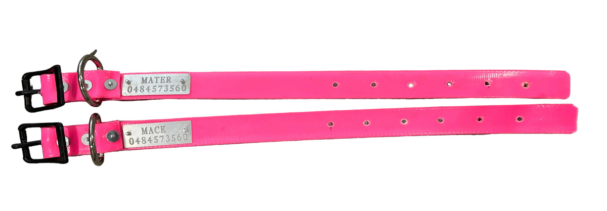PVC Dog Collar