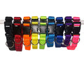 25mm Dog Collar